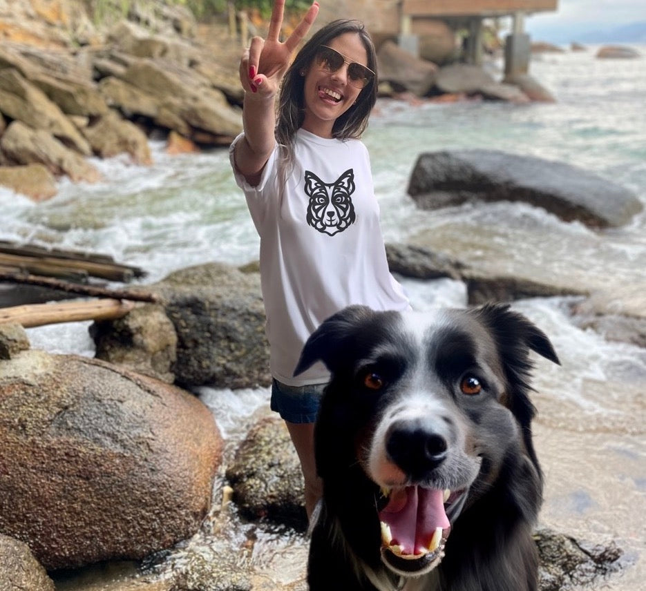 Border Collie: A Raça Canina Mais Inteligente, Versátil e Cheia de Curiosidades i-animals