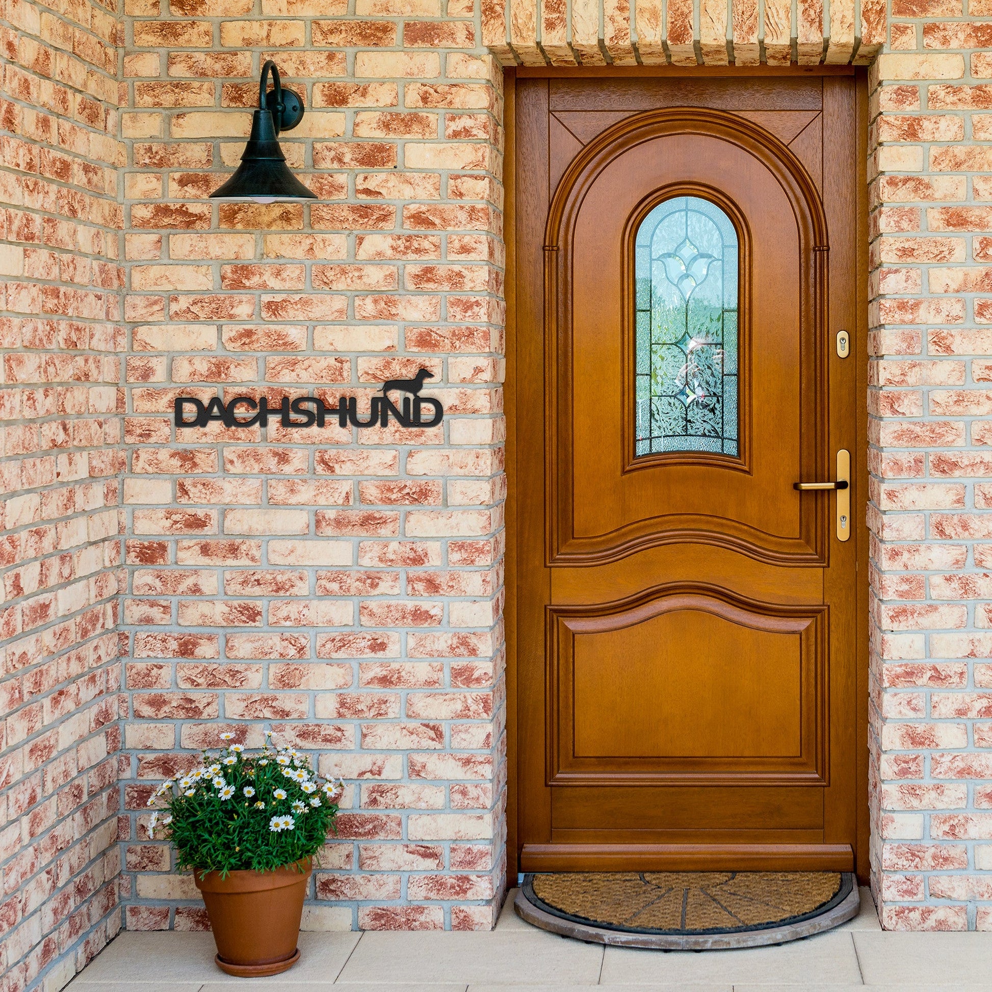 Placa de metal Dachshund - Identidade i-animals