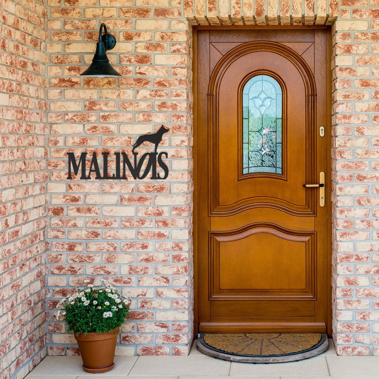 Placa de metal Malinois - Identidade i-animals