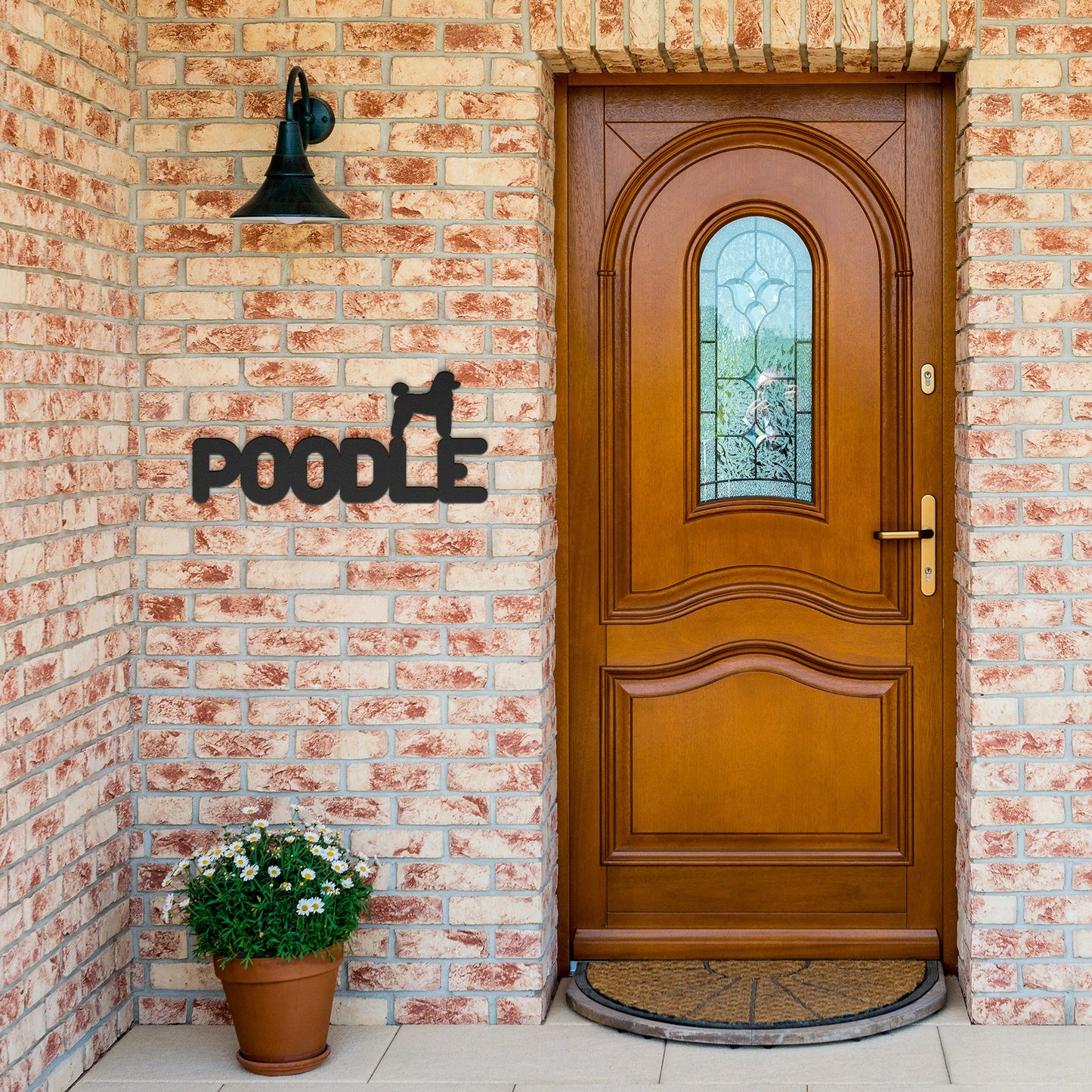 Placa de metal Poodle - Identidade i-animals
