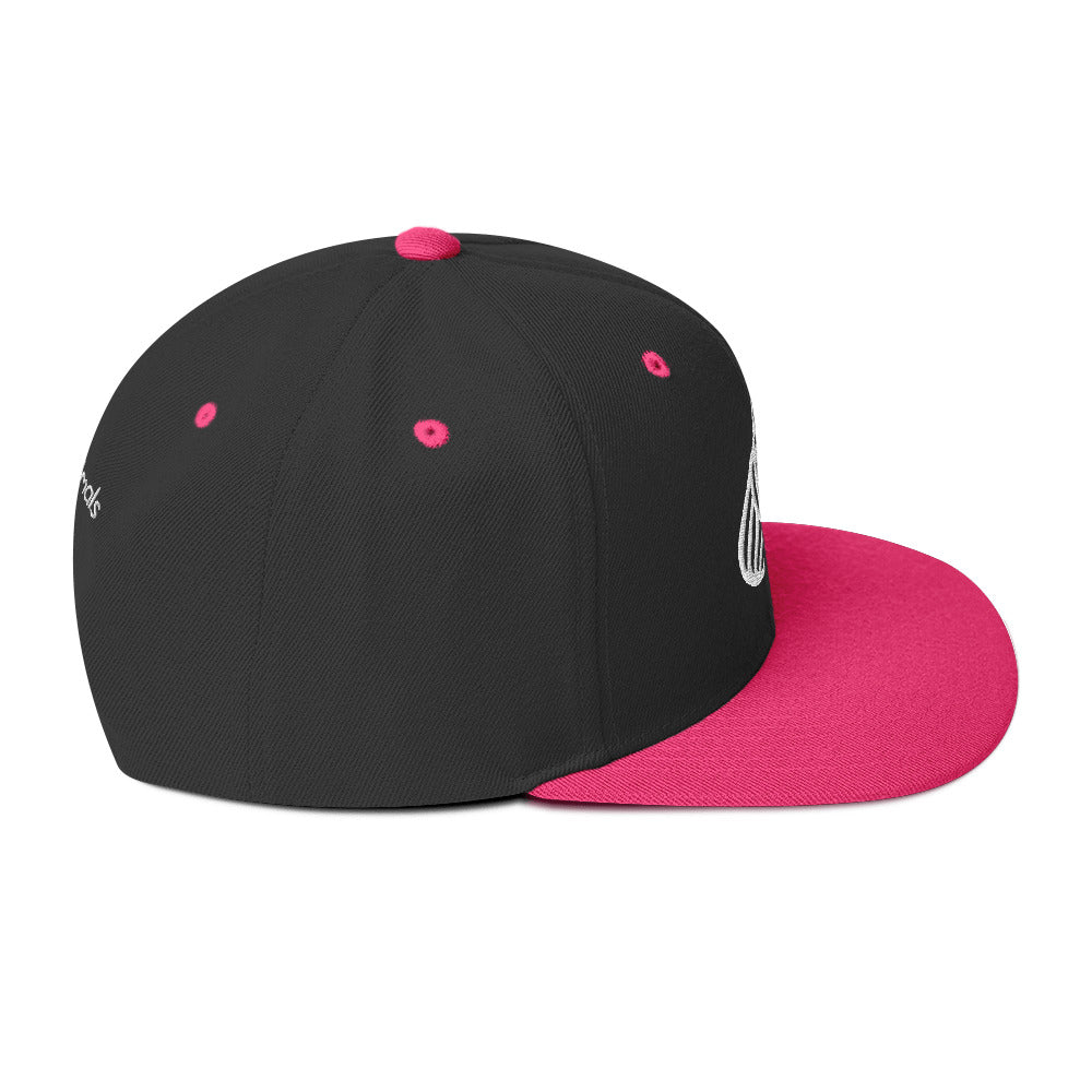Boné Snapback Beagle -Tribal - i-animals