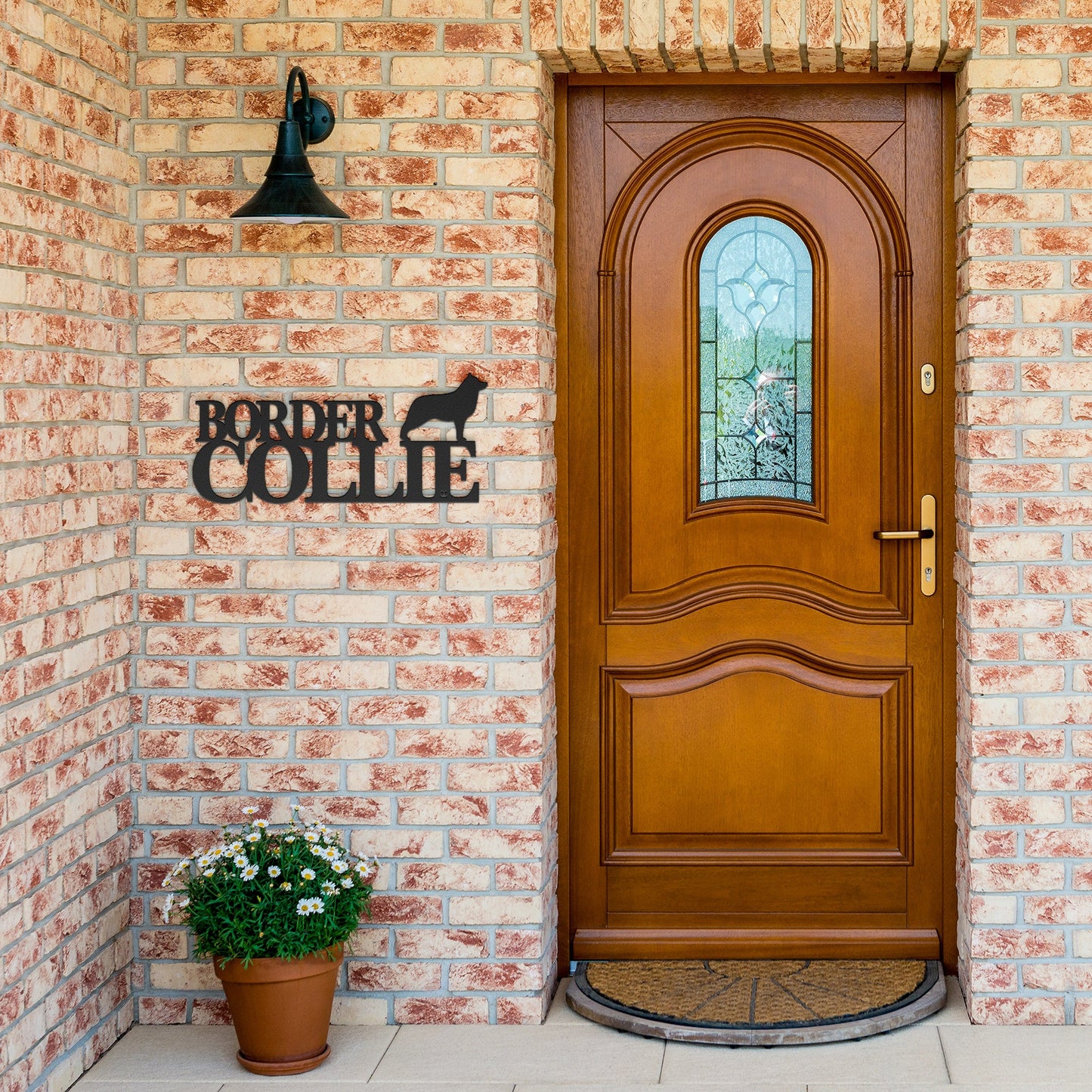 Placa de metal Border Collie - Identidade i-animals